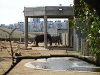 Ogród zoologiczny w Tallinnie