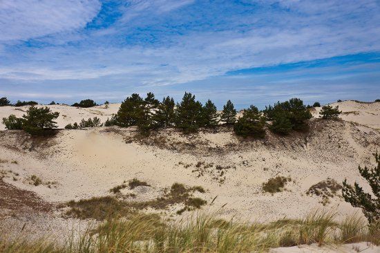 Czappińska Dune
