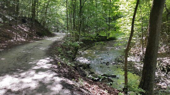 Park Bażantarnia