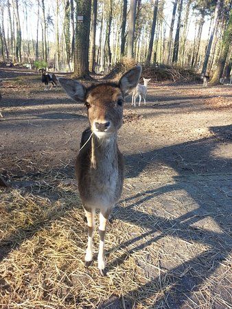 Tierpark Wolgast