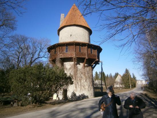 Kiiu Vassal Stronghold