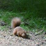 Beim Fischer