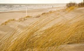 Plaża w Połądze