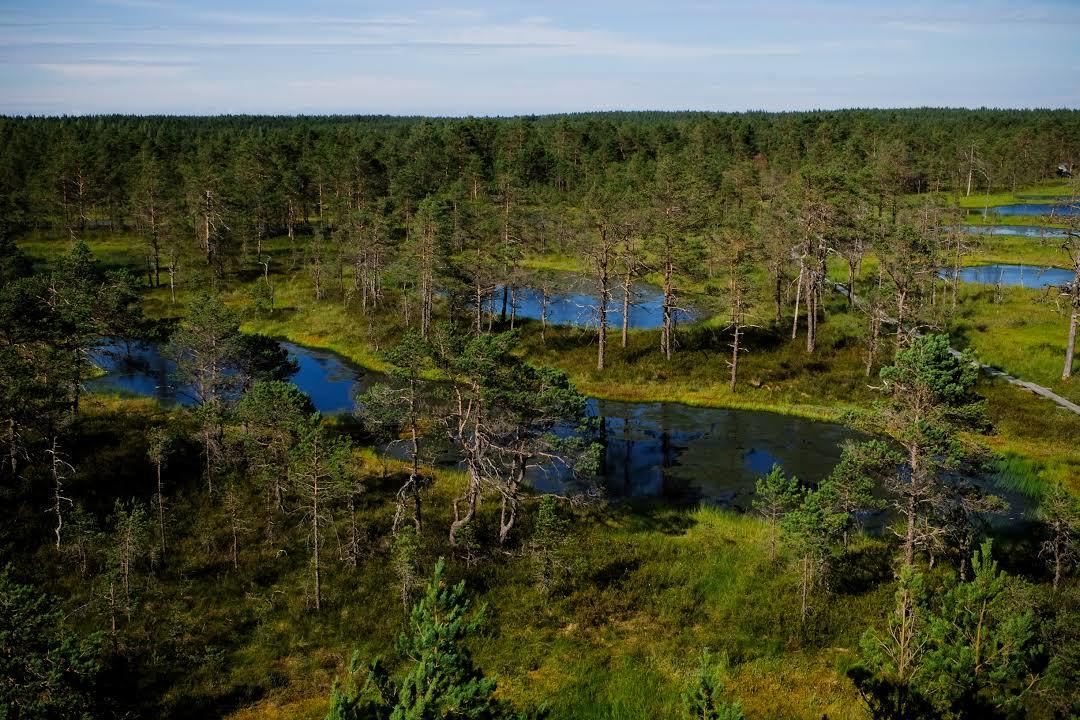 Park Narodowy Lahemaa