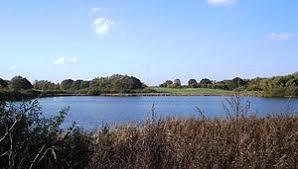 Överdiek