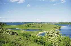 Dummersdorfer Ufer