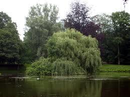 Stadtpark Lübeck