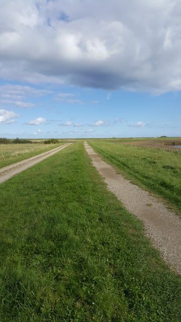 Naturerlebniszentrum Maasholm