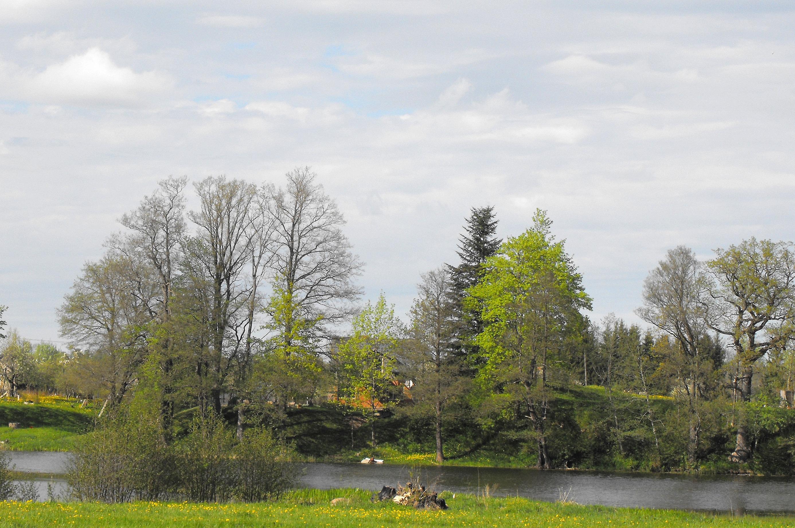 Dundagas pilskalns
