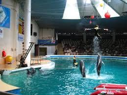 Delfinariumas