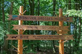 das Ribnitzer Große Moor