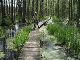 Lake Sloka