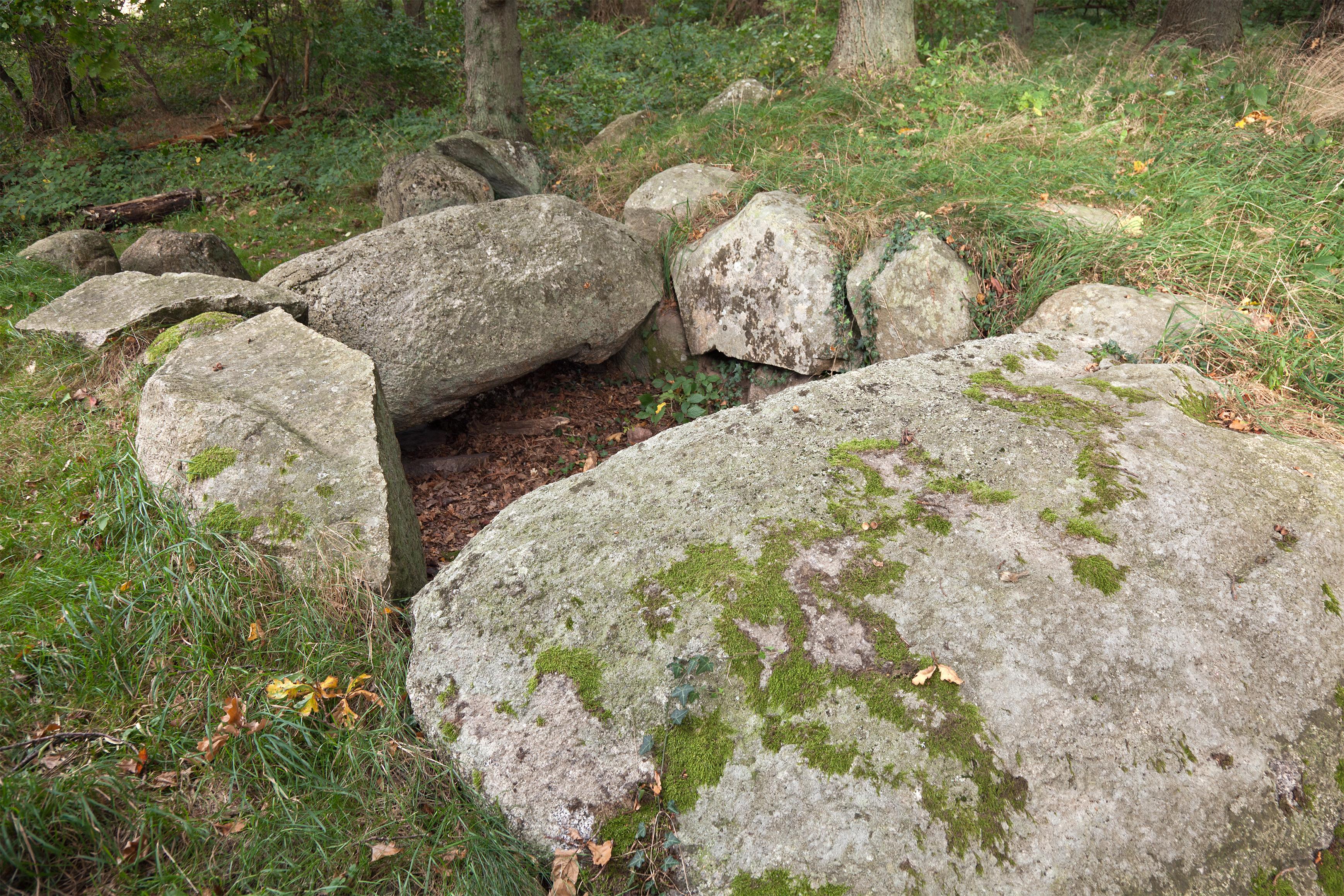 Großdolmen von Dwasieden