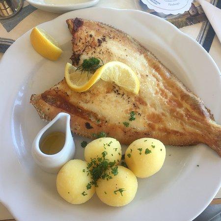 Gundis Fischkaten