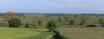 Thurbruch