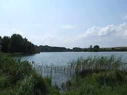 der Berliner See