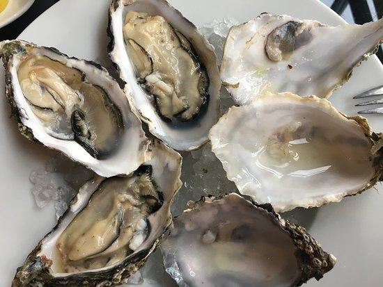 Oyster Bar im Steigenberger Strandhotel and Spa Zingst