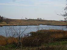 die Düne am Treßsee
