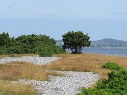 Fahrinsel