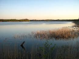 der Cambser See