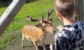 Mini Zoo "Briezi"