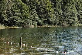der Blunker See