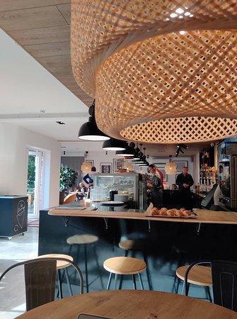 Caffeine Palanga