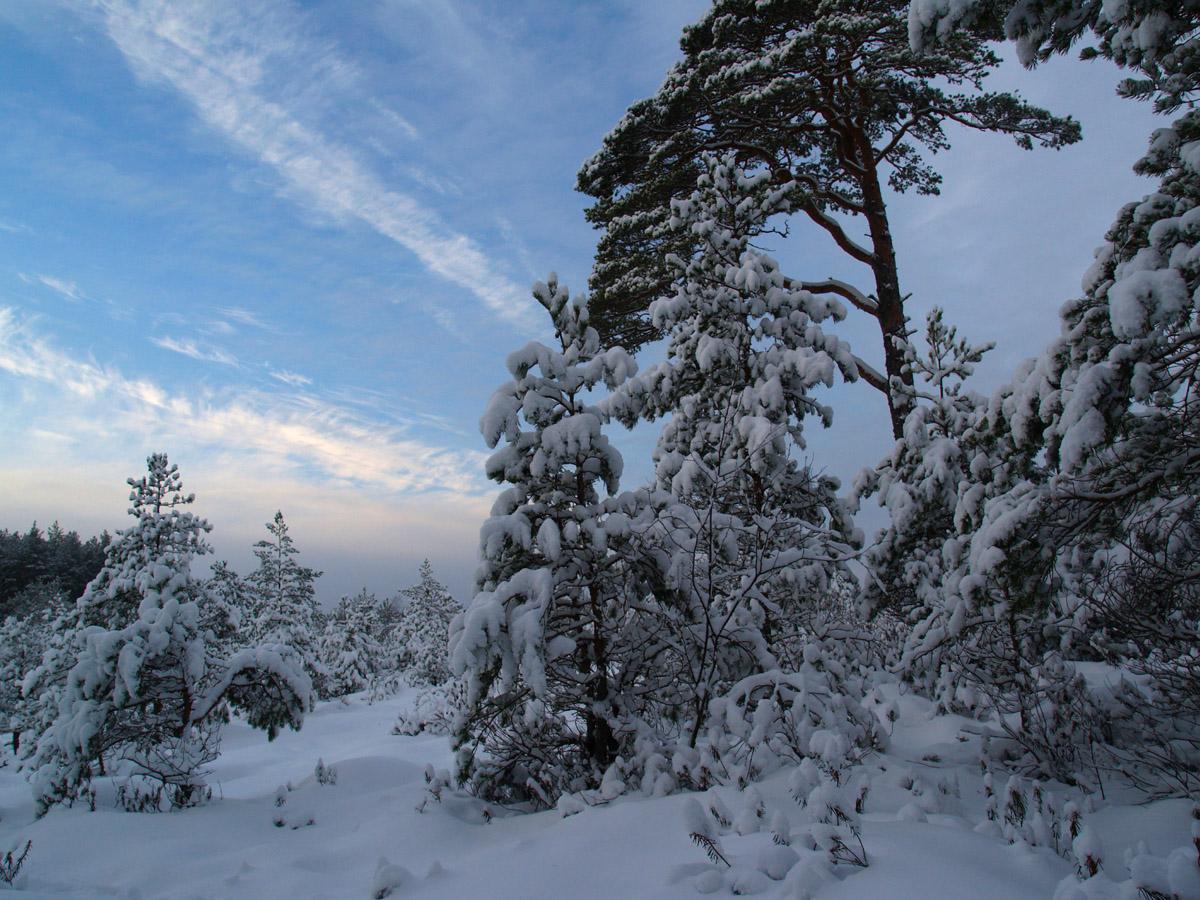 Lindi Nature Reserve
