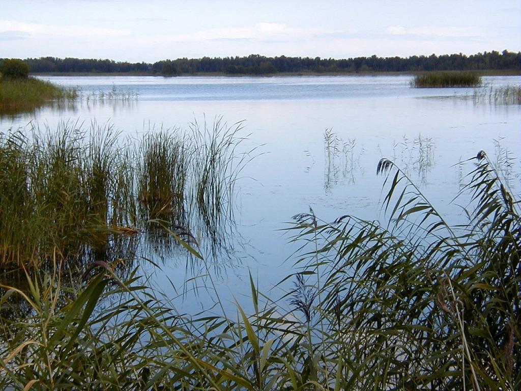 Kaņieris-See
