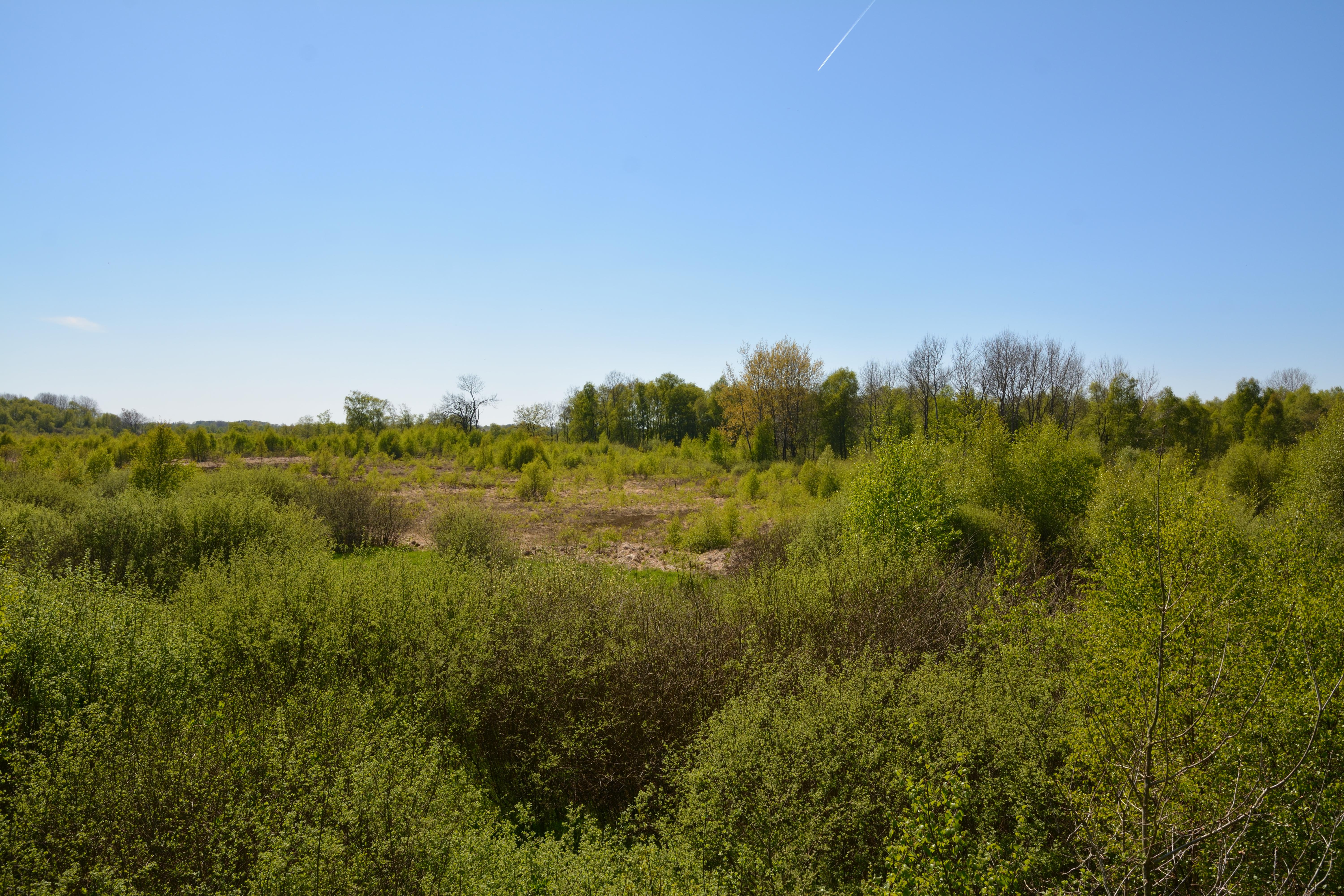 das Esprehmer Moor