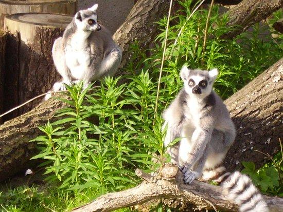 Rostock Zoo