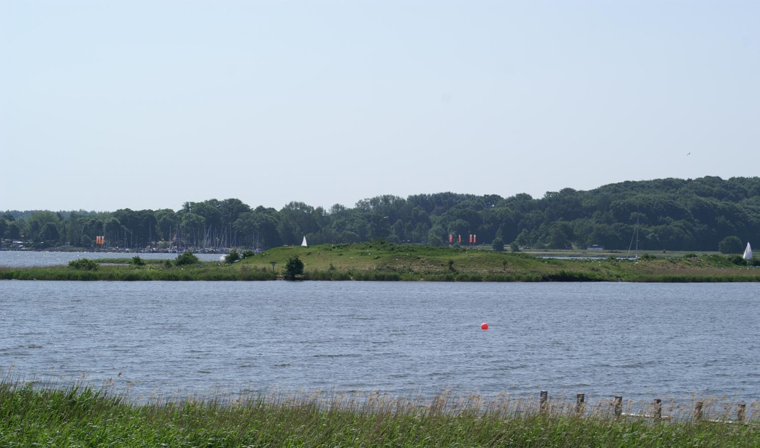 Moweninsel