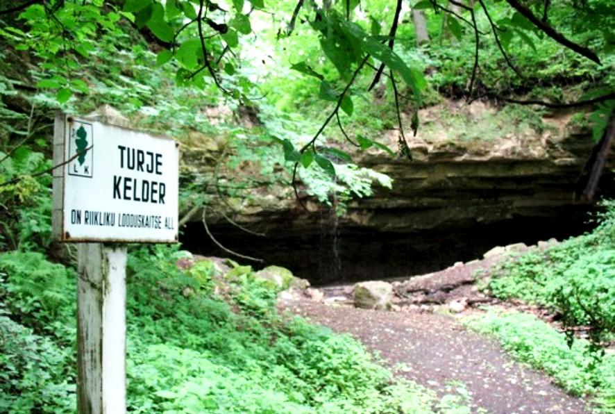 Turje kelder