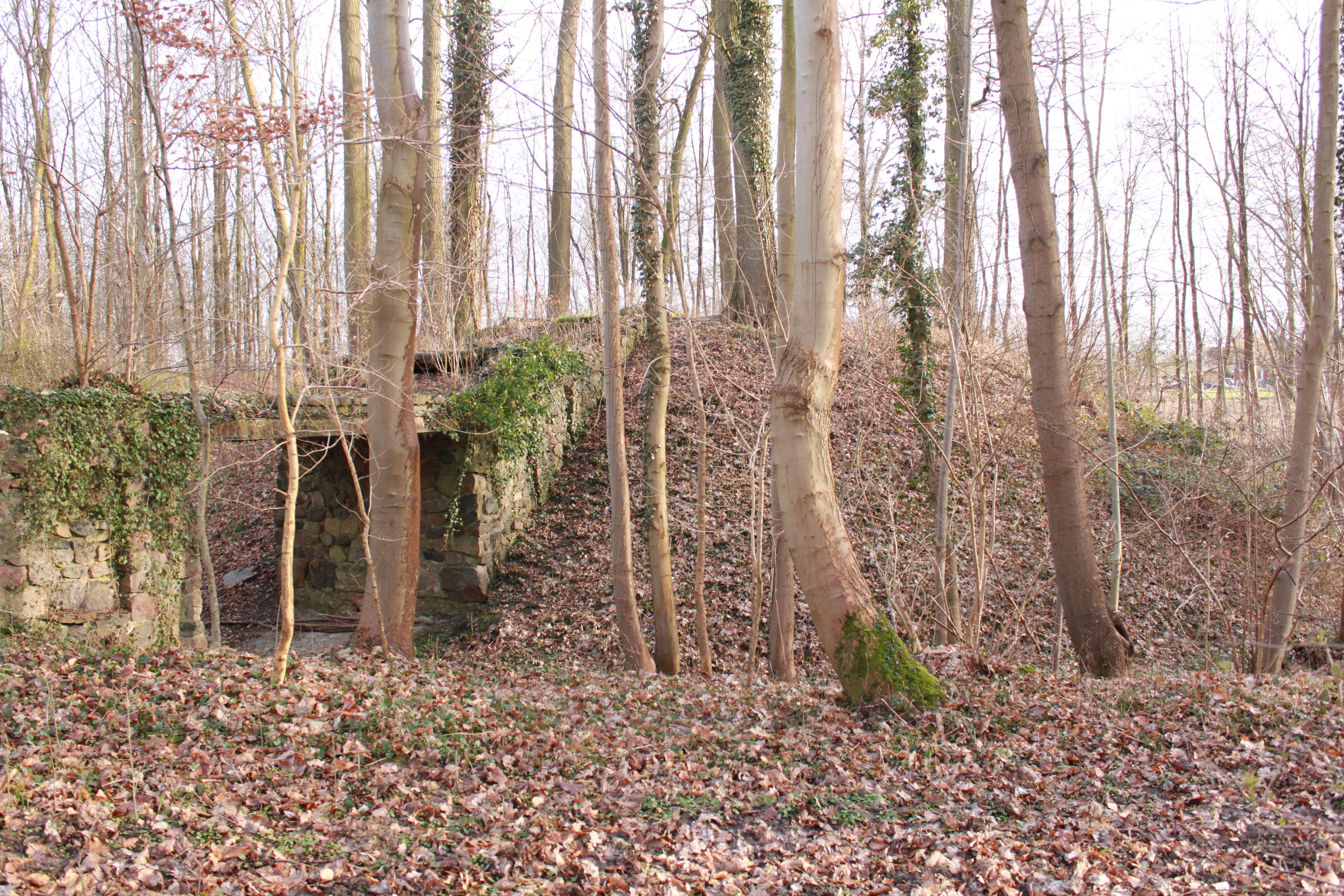 Motte Rethwisch