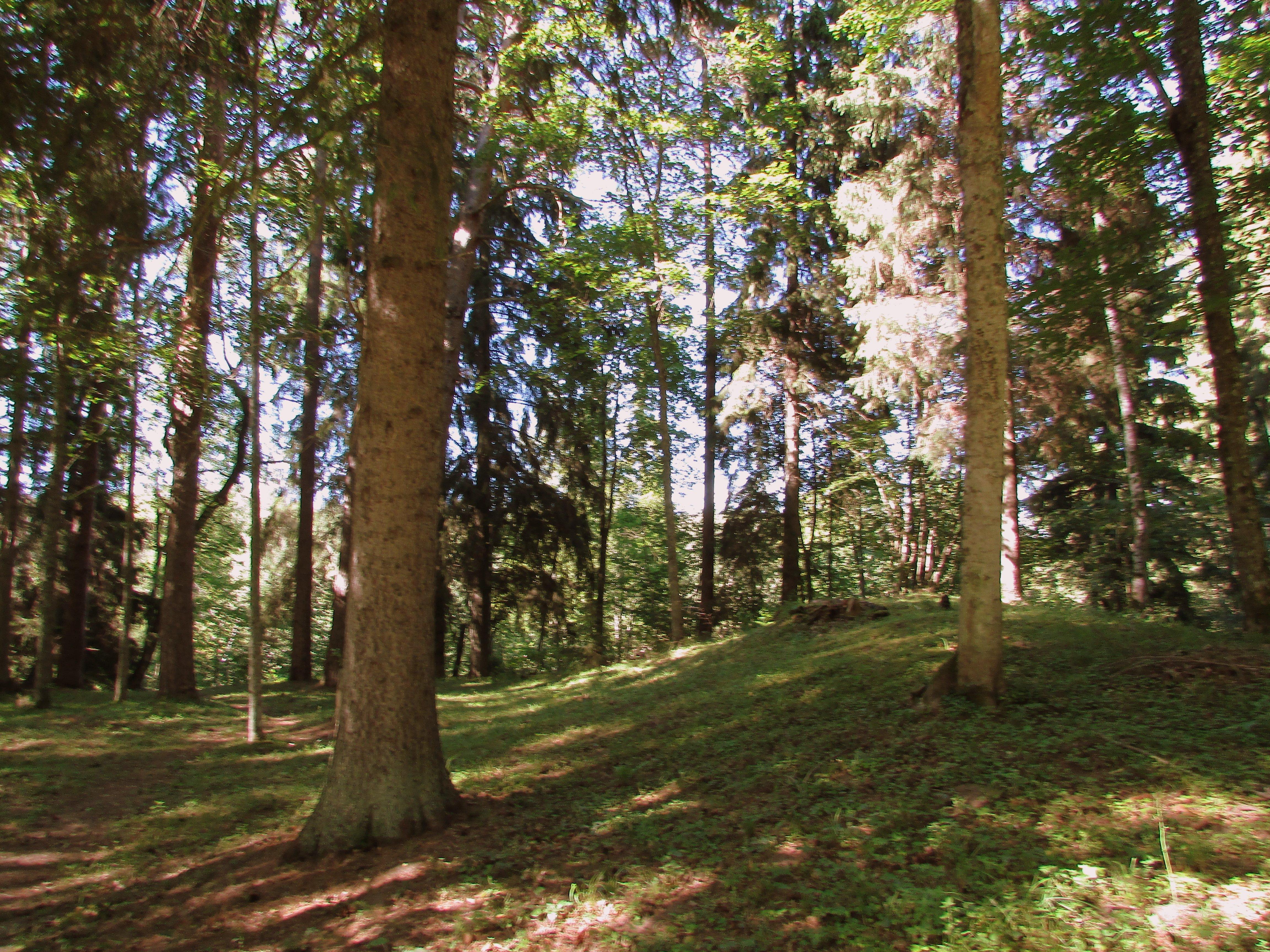 Liepupe hillfort