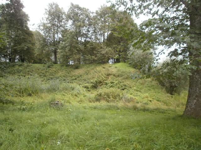 Burg Salis