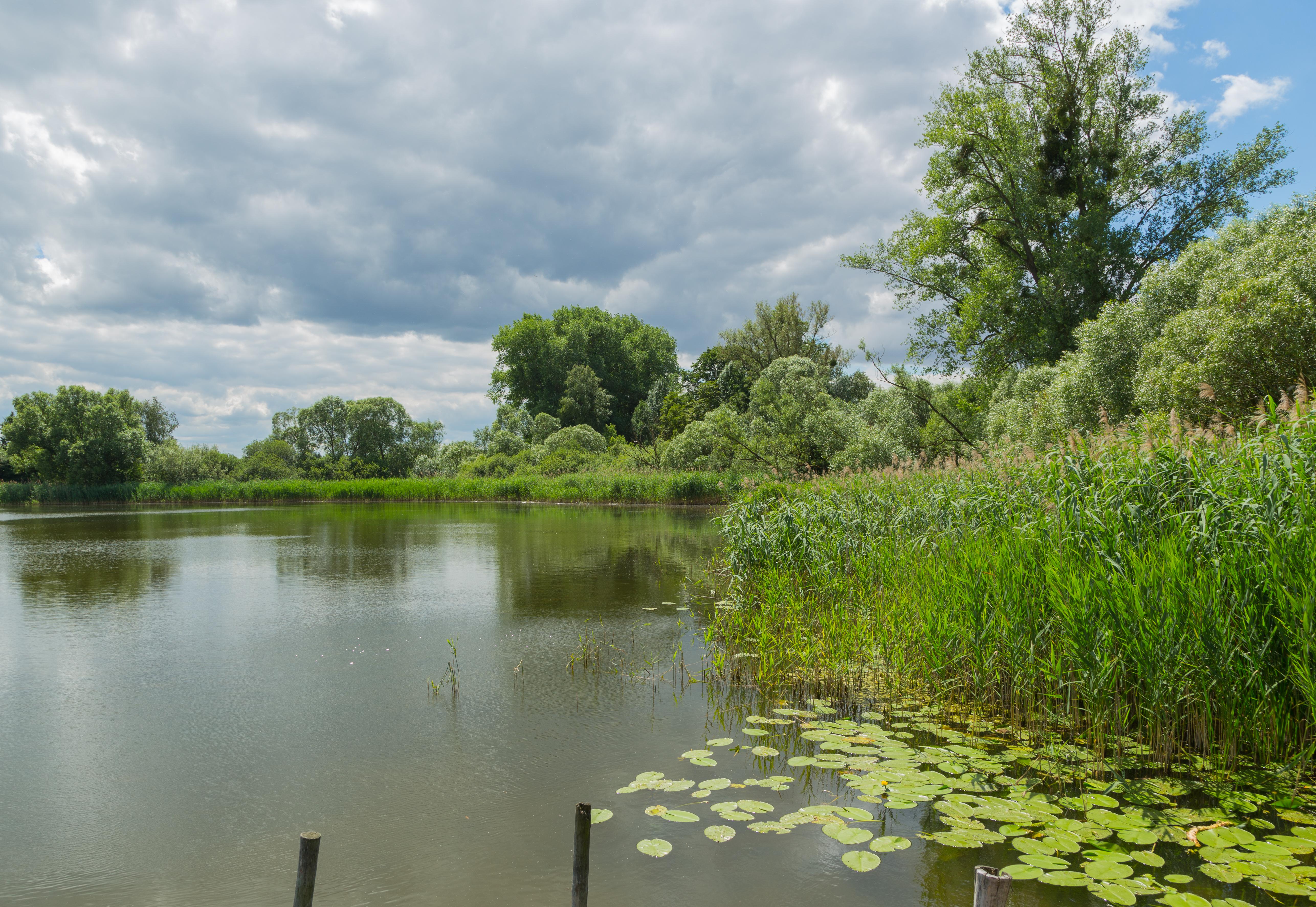 Schweriner Außensee