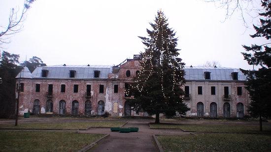 Narva Joesuu