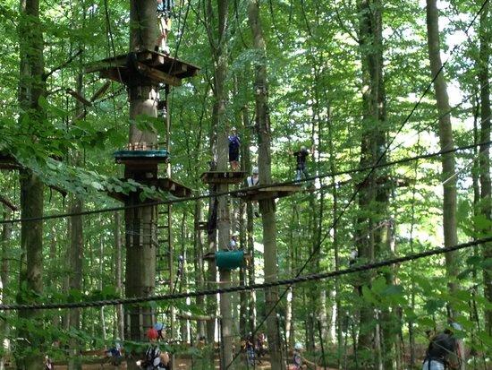 Natur-Hochseilgarten