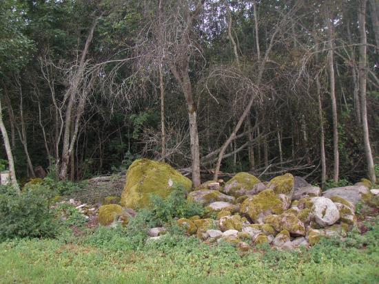 Vosu-Nommeveski Hiking Trail
