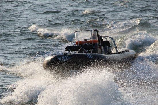 Laboe Action