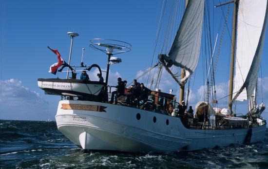 Segelschiff Weisse Dune