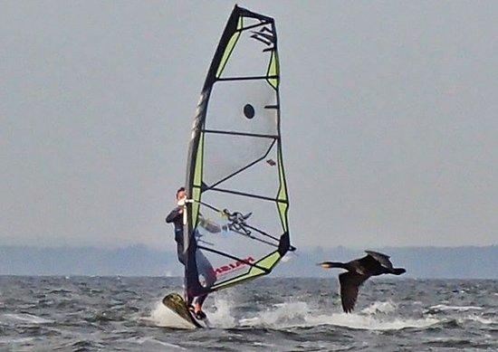 Szkola Windsurfingu MaxSurf