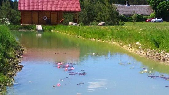 Hiievalja smoke sauna