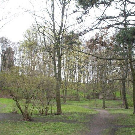 Aldara Parks