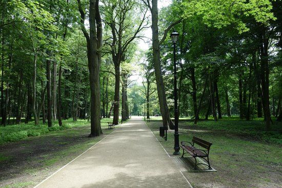 der Zdrojowy-Park