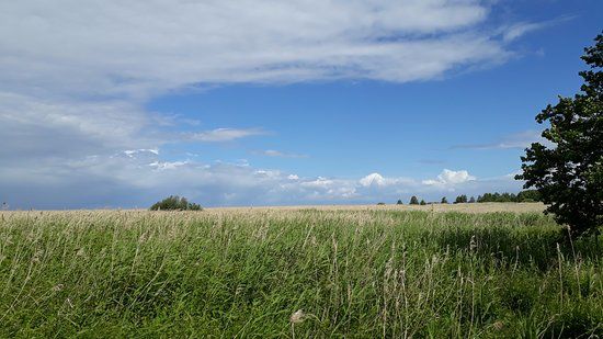 Randu Meadows