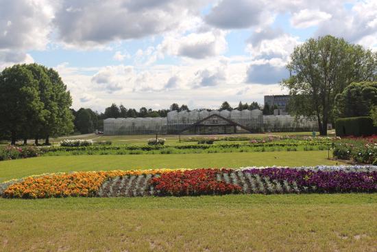 Narodowy Ogród Botaniczny Łotwy