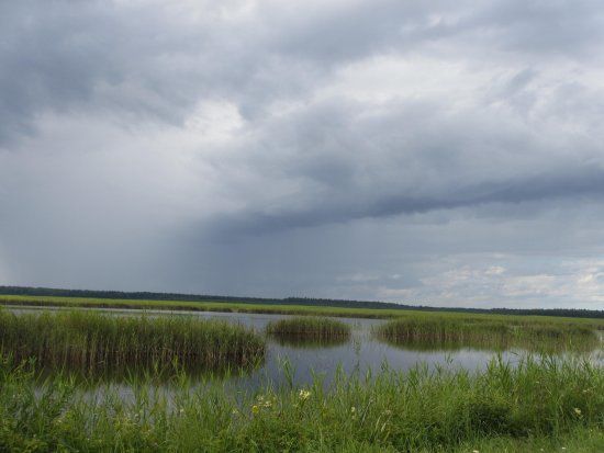 Kanieris Lake Bird Watching Tower