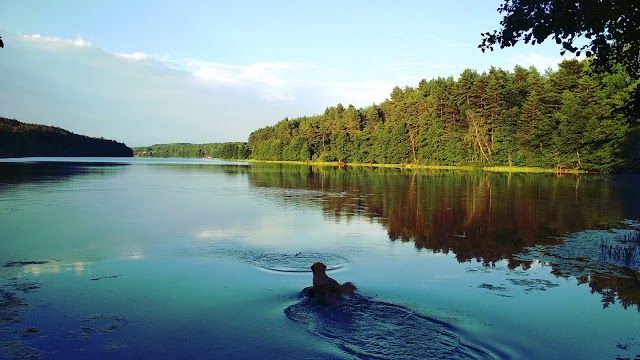 Kaszubski Park Krajobrazowy